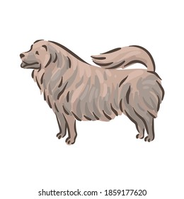 Cute dog Chow-chow breed pedigree vector illustration 