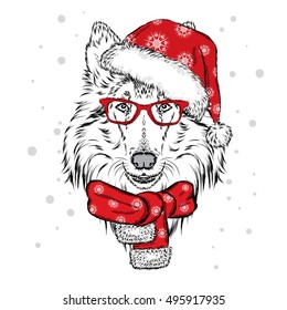 Cute dog in a Christmas hat and sunglasses. Vector illustration for greeting card, poster, or print on clothes. Pedigree dog. Collie. Winter, Christmas and New Year.