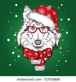 Cute dog in a Christmas hat and sunglasses. Vector illustration for greeting card, poster, or print on clothes. Pedigree dog. Collie. Winter, Christmas and New Year.