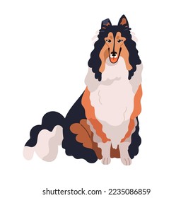 Hund von Collie Rasse, Stammbaum. Happy lustige, langhaarige Hundehündchen. Adorable, glänzende, trifarbige Hunde, süße, reinrassige Haustiere. Flache Vektorgrafik einzeln auf weißem Hintergrund