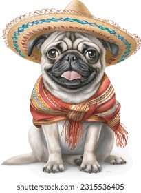cute dog in colourful Mexican clothes