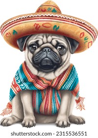 cute dog in colourful Mexican clothes