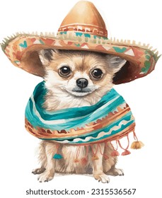 cute dog in colourful Mexican clothes