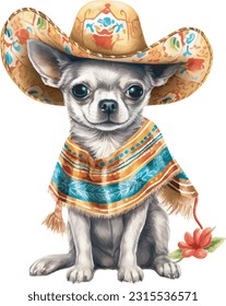 cute dog in colourful Mexican clothes