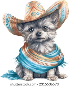 cute dog in colourful Mexican clothes