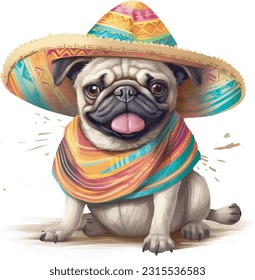 cute dog in colourful Mexican clothes