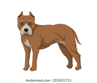 Cute dog concept. Adorable breed of pet and domestic animal. Cute brown pitbull puppy. Mammal and wild life. Poster or banner. Cartoon flat vector illustration isolated on white background