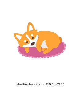 Perro lindo de raza corgi. Una adorable cachorro yace sobre una almohada rosa. Un dulce animal encantador. Ilustración vectorial plana aislada en fondo blanco