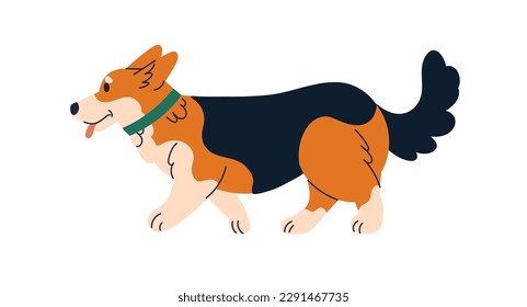 Cute dog of Corgi breed. Funny short doggy, canine animal. Adorable companion puppy walking, going. Amusing canine animal profile, pup side view. Flat vector illustration isolated on white background