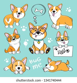 Cute Dog Corgi Collection On A Blue Background