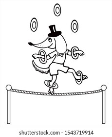 Cute dog in a costume is performing a circus show. Black and white vector for coloring, for card or gift. 