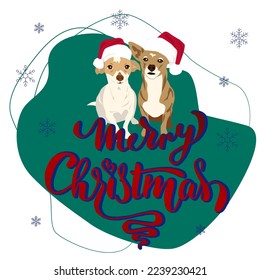 Una pareja de perros linda posando para la foto con sombreros de navidad. Diseño de tarjetas de felicitación de navidad.