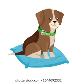 cute dog in cushion isolated icon vector illustration design