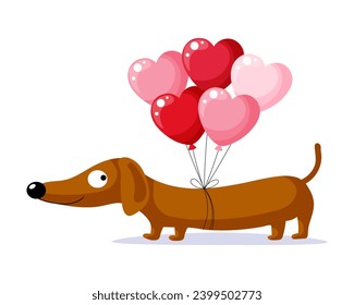 Cute dog dachshund character with heart shaped balloons. Birthday card. Cartoon style, vector