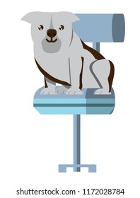 cute dog design