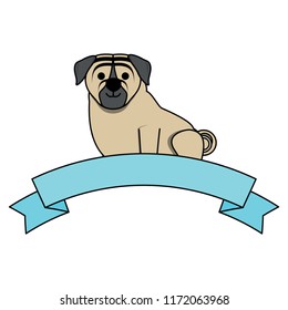 cute dog design