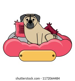 cute dog design