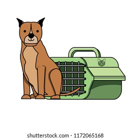 cute dog design