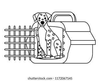 cute dog design