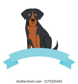 cute dog design