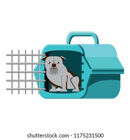 cute dog design