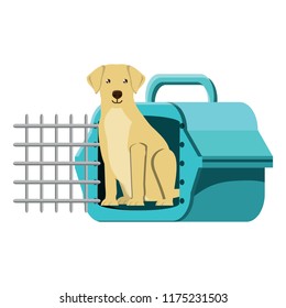 cute dog design