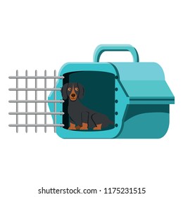 cute dog design