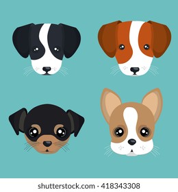 cute dog design 
