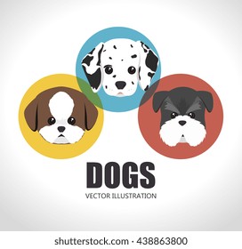 cute dog design, vector illustration eps10 graphic 