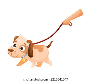 Cute Dog as Domestic Pet Walking on Leash Vector Illustration