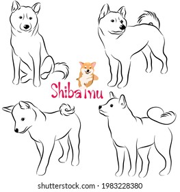 Cute dog doodle. Collection in different poses in free hand drawing illustration style.