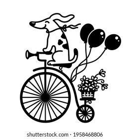 Cute dog drive vintage bicycle. Vector graphic illustration of old-style bike silhouette with flowers and ballons for print or design isolated on white