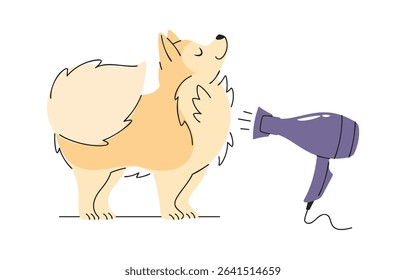 Cute dog drying wool cartoon