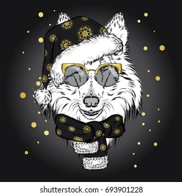 Cute dog in earmuffs and a scarf. Vector illustration for a card or poster. Print on clothes. Beautiful dog. New Year's and Christmas. Winter. Warm clothes. Collie.