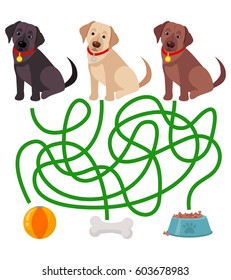 Cute dog educational maze game. Vector illustration of maze(labyrinth) educational game with cute cartoon Black, red and gold labrador retrieve for children
