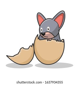 cute dog egg shell cartoon design