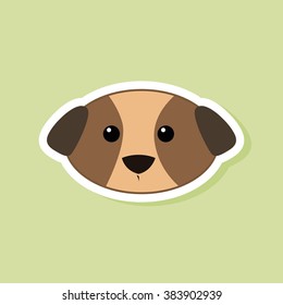 Cute dog Face