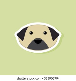 Cute dog Face