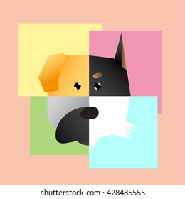 cute dog face