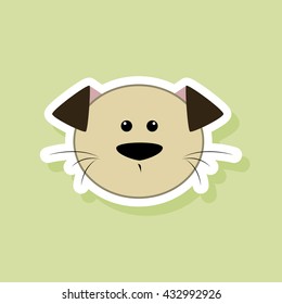 Cute dog Face