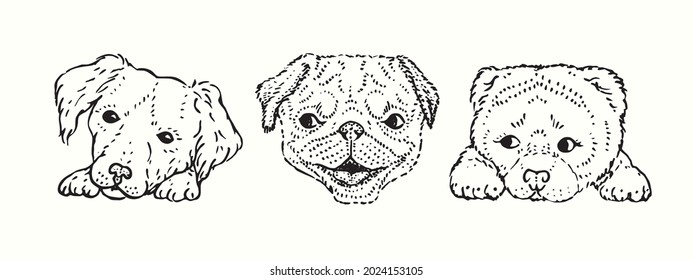 Cute dog faces collection, sitting, face on paws. Ink black and white drawing illustration