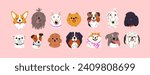 Cute dog faces set. Canine portraits, different doggies breeds. Funny puppies heads. Pups avatars. Happy Corgi, Komondor, Sennenhund, Pomeranian Spitz pets muzzles. Isolated flat vector illustrations