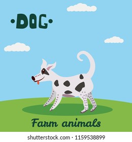 Cute Dog, farm animal character, farm animals, vector illustration on field background. Cartoon style, isolated
