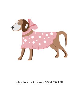 Cute dog fashion isolated pets on a white background.They can be used in the brochure, banners, ads.Vector illustration.