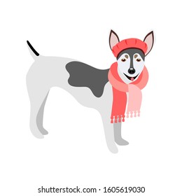 Cute dog fashion isolated pets on a white background.They can be used in the brochure, banners, ads.Vector illustration.