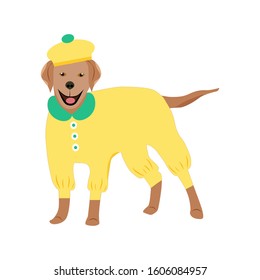 Cute dog fashion isolated pets on a white background.They can be used in the brochure, banners, ads.Vector illustration.