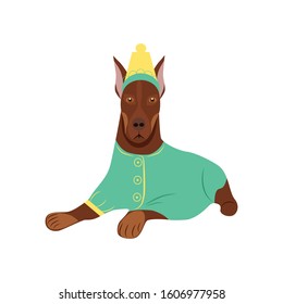 Cute dog fashion isolated pets on a white background.They can be used in the brochure, banners, ads.Vector illustration.