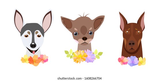Cute dog fashion isolated pets on a white background.They can be used in the brochure, banners, ads.Vector illustration.