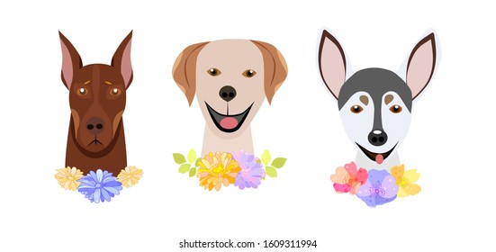 Cute dog fashion isolated pets on a white background.They can be used in the brochure, banners, ads.Vector illustration.