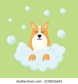 Perro lindo en la espuma. Corgi con burbujas. cuidado animal. Ilustración vectorial al estilo de las caricaturas.